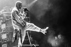 Five Finger Death Punch